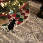 Fried Cat Rug - Funny Christmas Gift